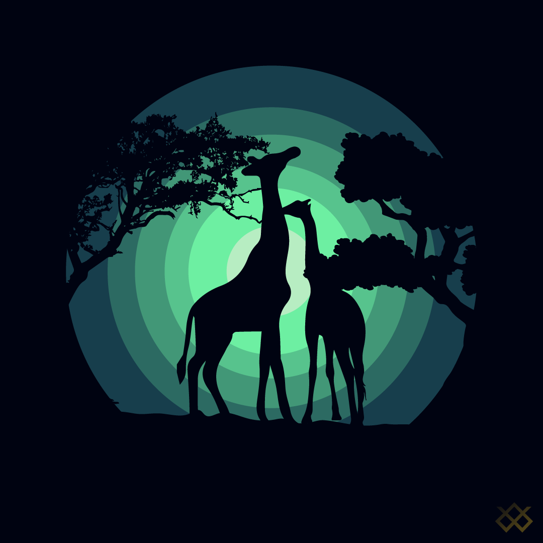 Social Media Graphics